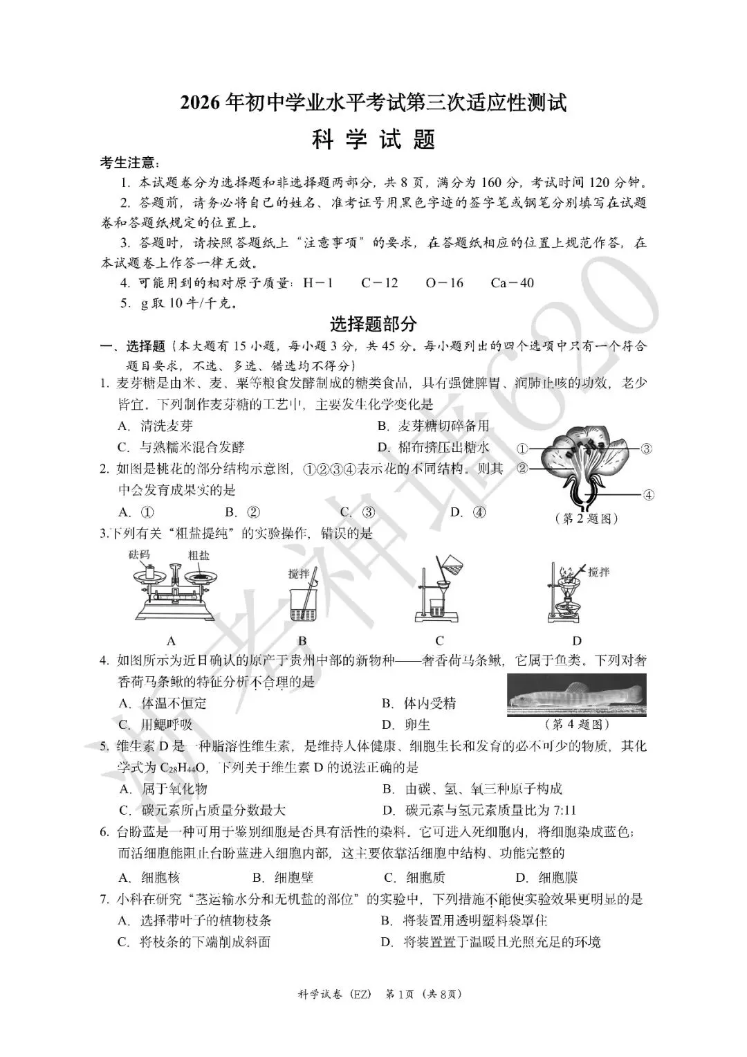 26模拟考|2026年温州市第二中学三模(全科)-第40张图片-四季读书网 26模拟考|2026年温州市第二中学三模(全科)-第40张图片-四季读书网