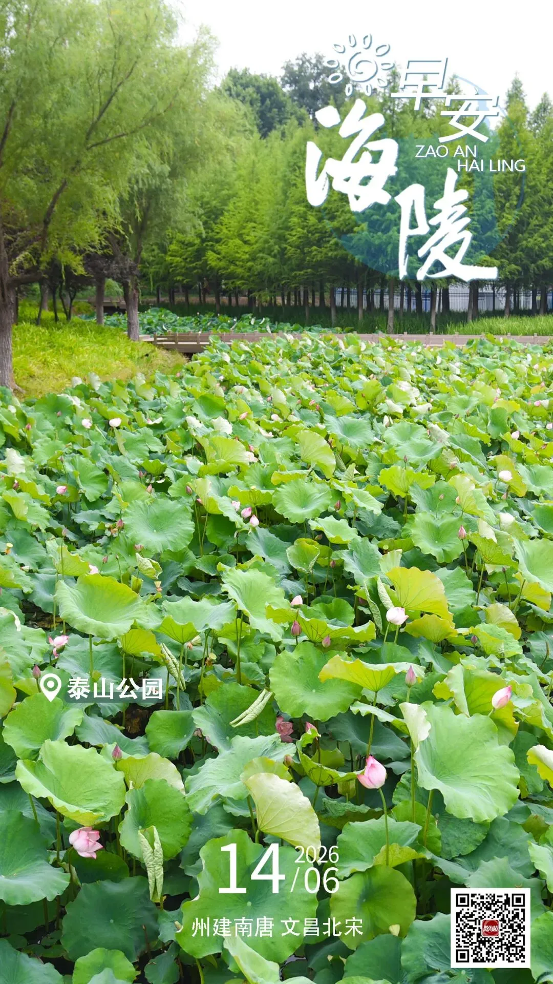 中考在即,助考热线开通!-第1张图片-四季读书网