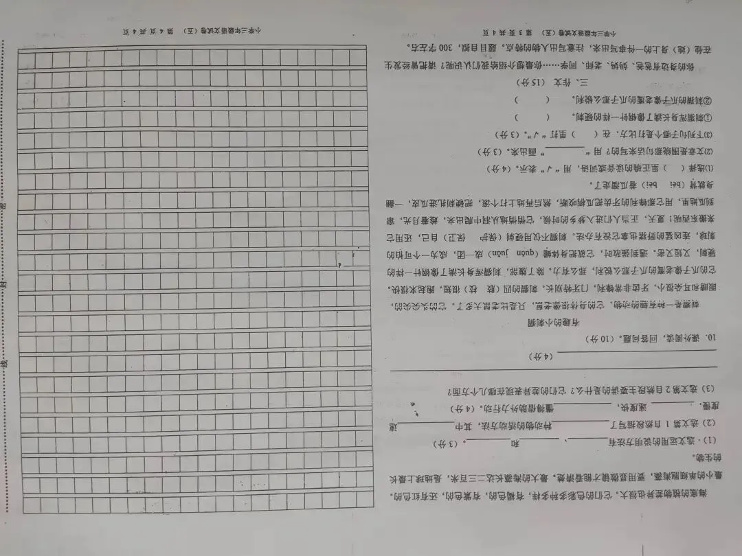 三年级语文下期末试卷-第11张图片-四季读书网 三年级语文下期末试卷-第11张图片-四季读书网
