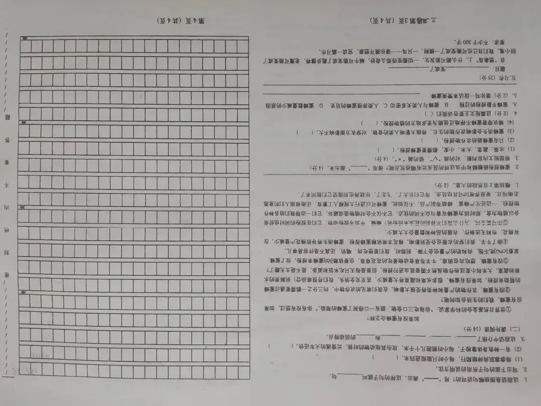 三年级语文下期末试卷-第13张图片-四季读书网 三年级语文下期末试卷-第13张图片-四季读书网