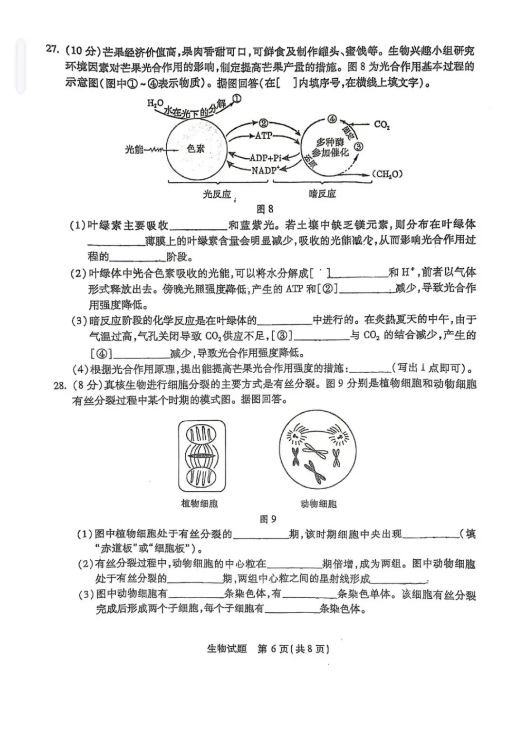 2024年6月福建省高中学考生物真题卷(附答案可下载)-第7张图片-四季读书网