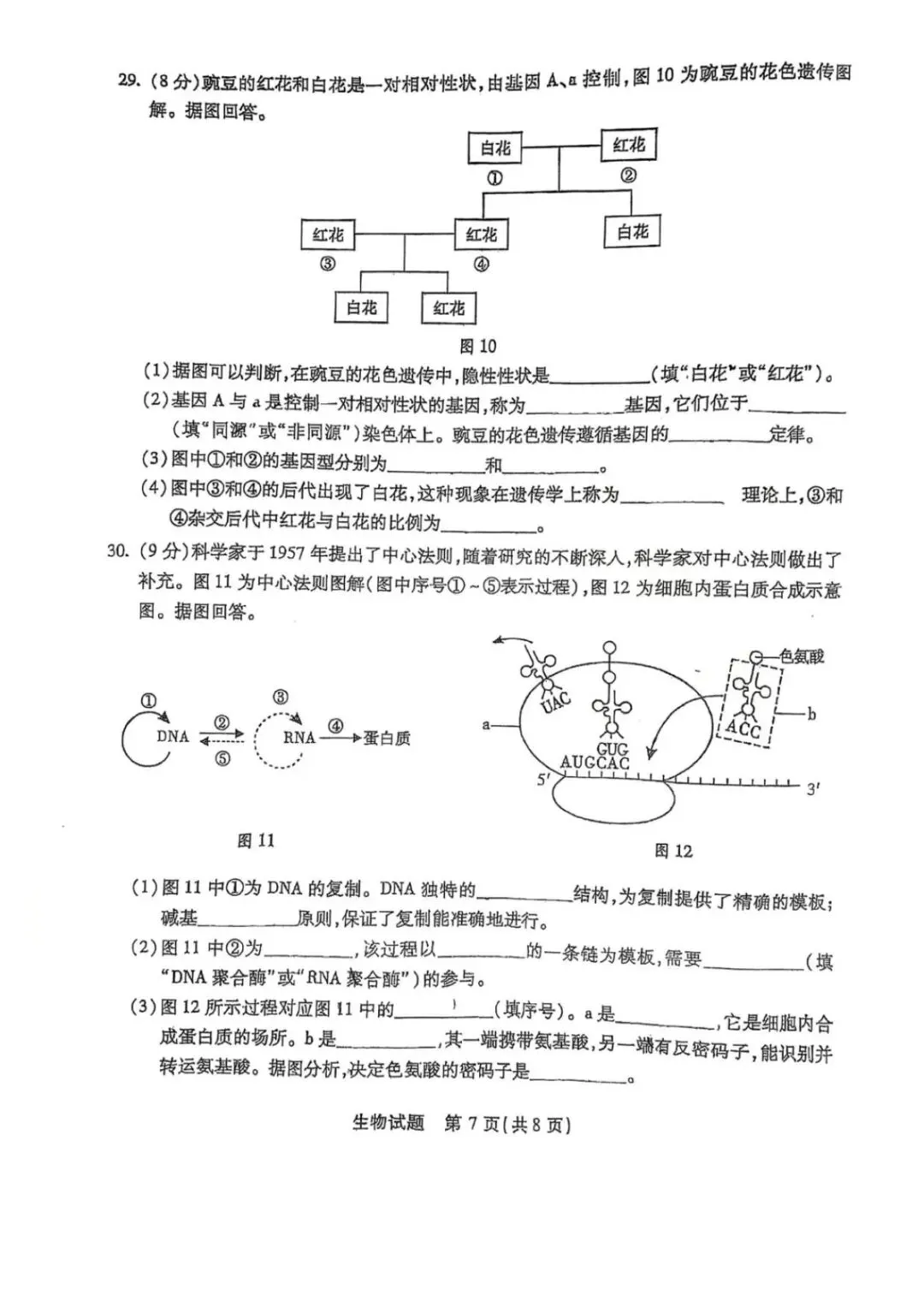 2024年6月福建省高中学考生物真题卷(附答案可下载)-第8张图片-四季读书网