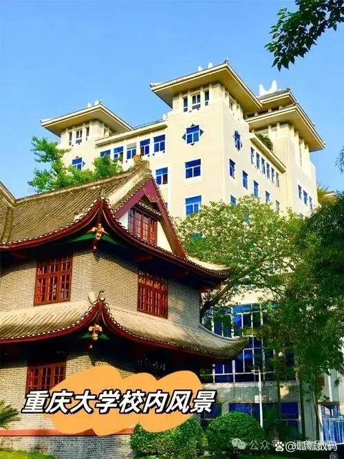 2026年·重庆中考·语文试题及答案-第1张图片-四季读书网