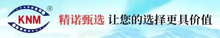 十年磨剑迎中考 精工坚守致初心-第1张图片-四季读书网