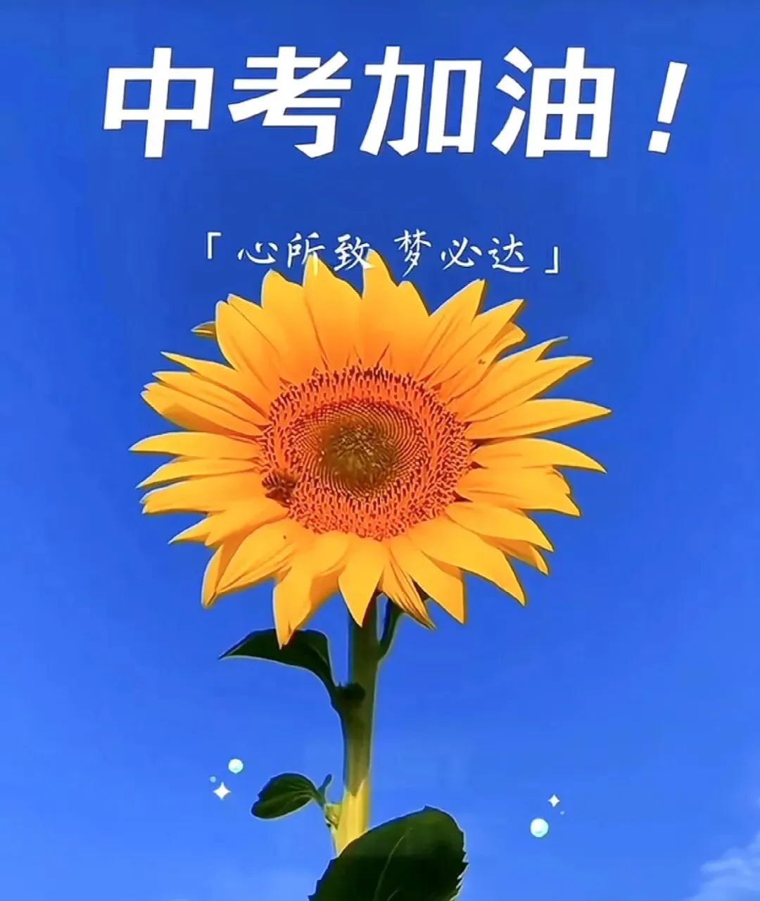 中考进行时丨请用这3件事护住孩子的应考节奏-第5张图片-四季读书网