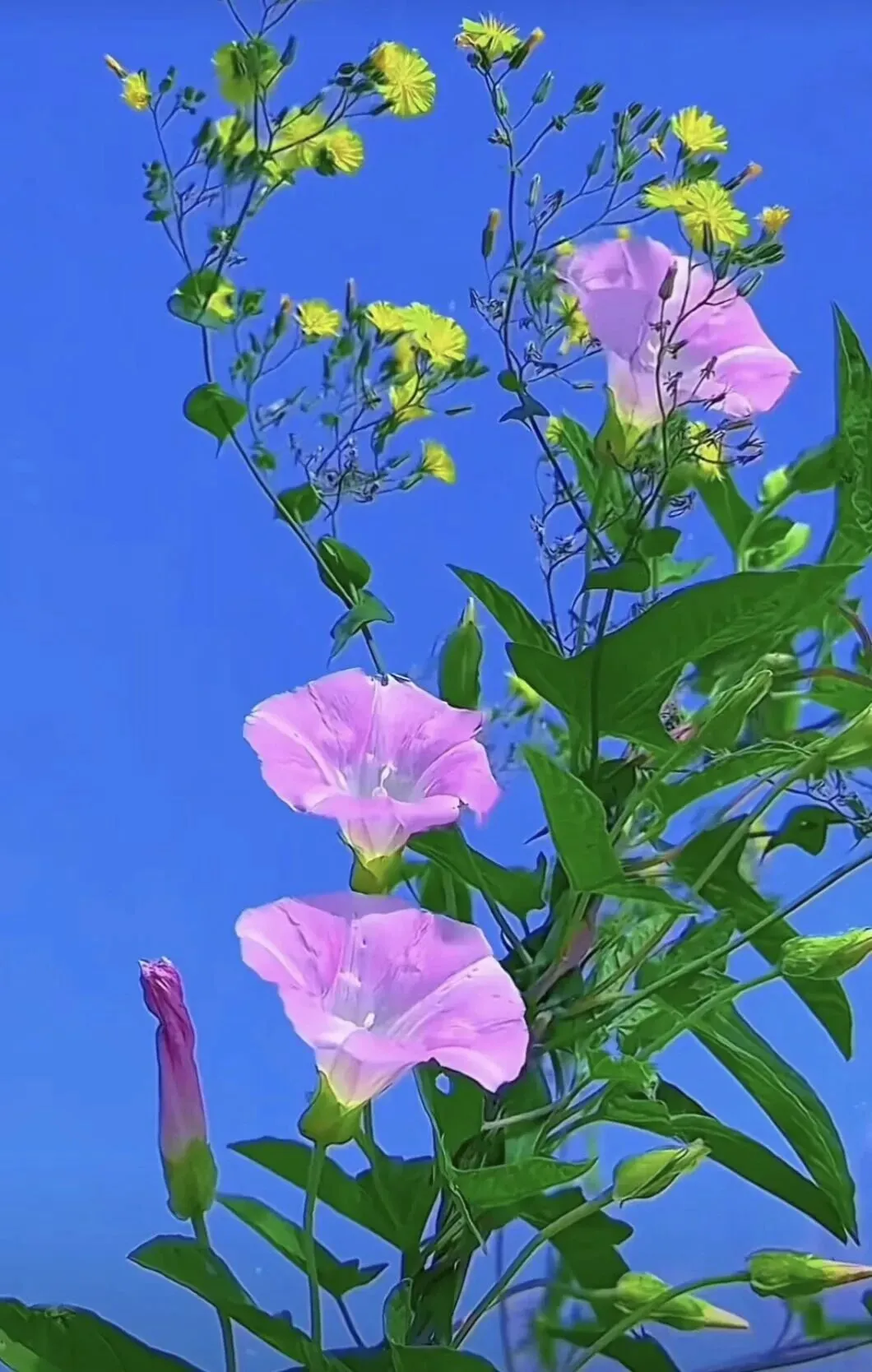 中考还有一周时间提分技巧-第2张图片-四季读书网