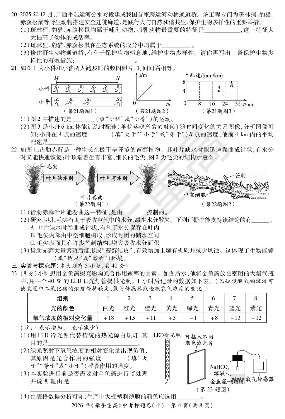 中考押题卷1-10合集 | 牵手重高2026年中考科学押题卷10(正文+答案+答题卷)冲刺必刷-第11张图片-四季读书网 中考押题卷1-10合集 | 牵手重高2026年中考科学押题卷10(正文+答案+答题卷)冲刺必刷-第11张图片-四季读书网