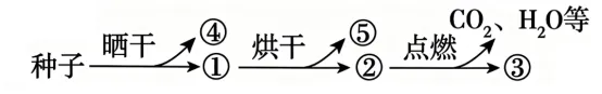 2026年四川省生物学合格性考试模拟试题和答案(附word下载) ⊙-第7张图片-四季读书网 2026年四川省生物学合格性考试模拟试题和答案(附word下载) ⊙-第7张图片-四季读书网