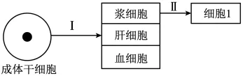 2026年四川省生物学合格性考试模拟试题和答案(附word下载) ⊙-第10张图片-四季读书网 2026年四川省生物学合格性考试模拟试题和答案(附word下载) ⊙-第10张图片-四季读书网
