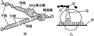 2026年四川省生物学合格性考试模拟试题和答案(附word下载) ⊙-第12张图片-四季读书网 2026年四川省生物学合格性考试模拟试题和答案(附word下载) ⊙-第12张图片-四季读书网