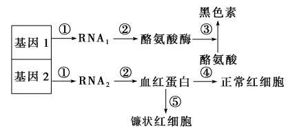 2026年四川省生物学合格性考试模拟试题和答案(附word下载) ⊙-第13张图片-四季读书网 2026年四川省生物学合格性考试模拟试题和答案(附word下载) ⊙-第13张图片-四季读书网