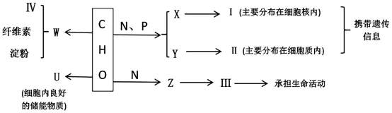 2026年四川省生物学合格性考试模拟试题和答案(附word下载) ⊙-第14张图片-四季读书网 2026年四川省生物学合格性考试模拟试题和答案(附word下载) ⊙-第14张图片-四季读书网