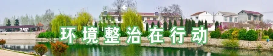今天,中考开考!-第13张图片-四季读书网