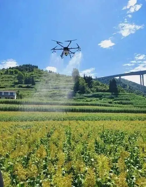 农业技术员(春季主要农作物种植技术)学习模拟考试练习题-第8张图片-四季读书网