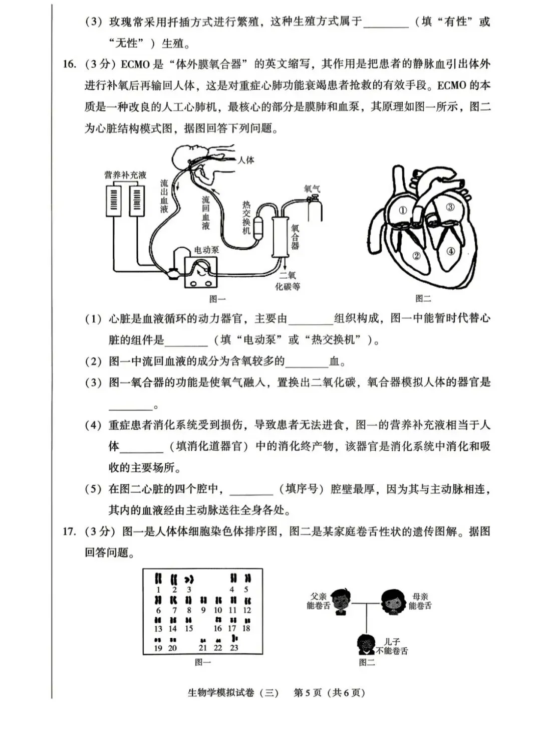辽宁省初中学业水平考试生物模拟试卷(三)-第5张图片-四季读书网