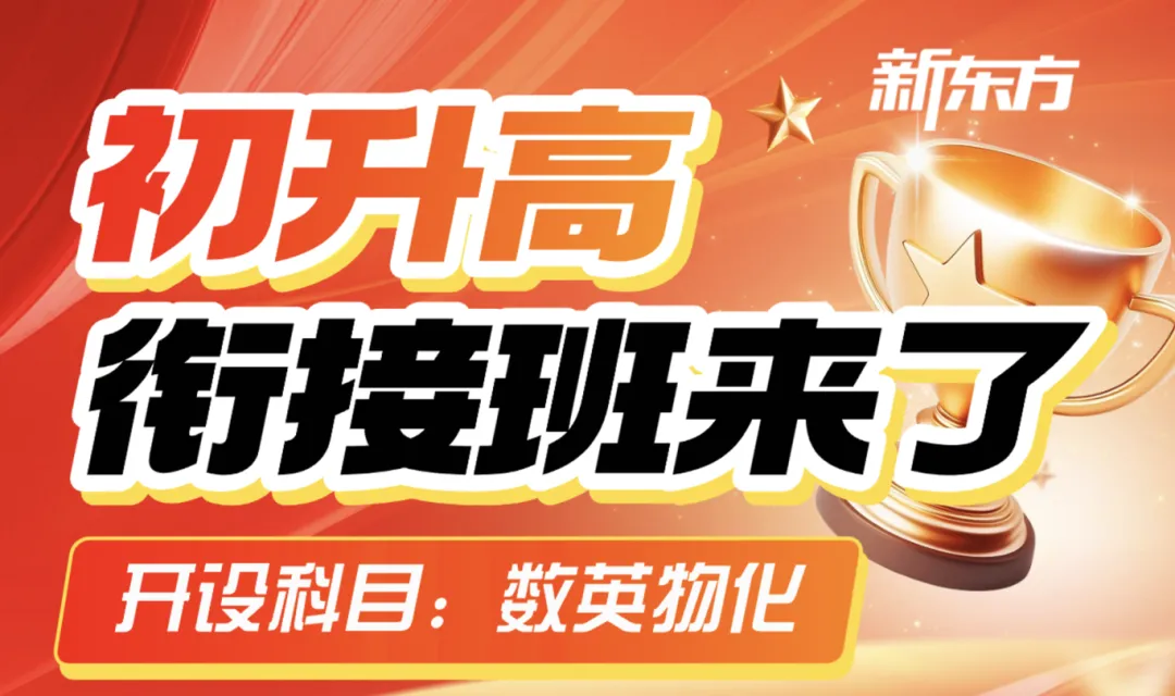 2026徐州中考倒计时!押题课助力考前冲刺!-第2张图片-四季读书网 2026徐州中考倒计时!押题课助力考前冲刺!-第2张图片-四季读书网