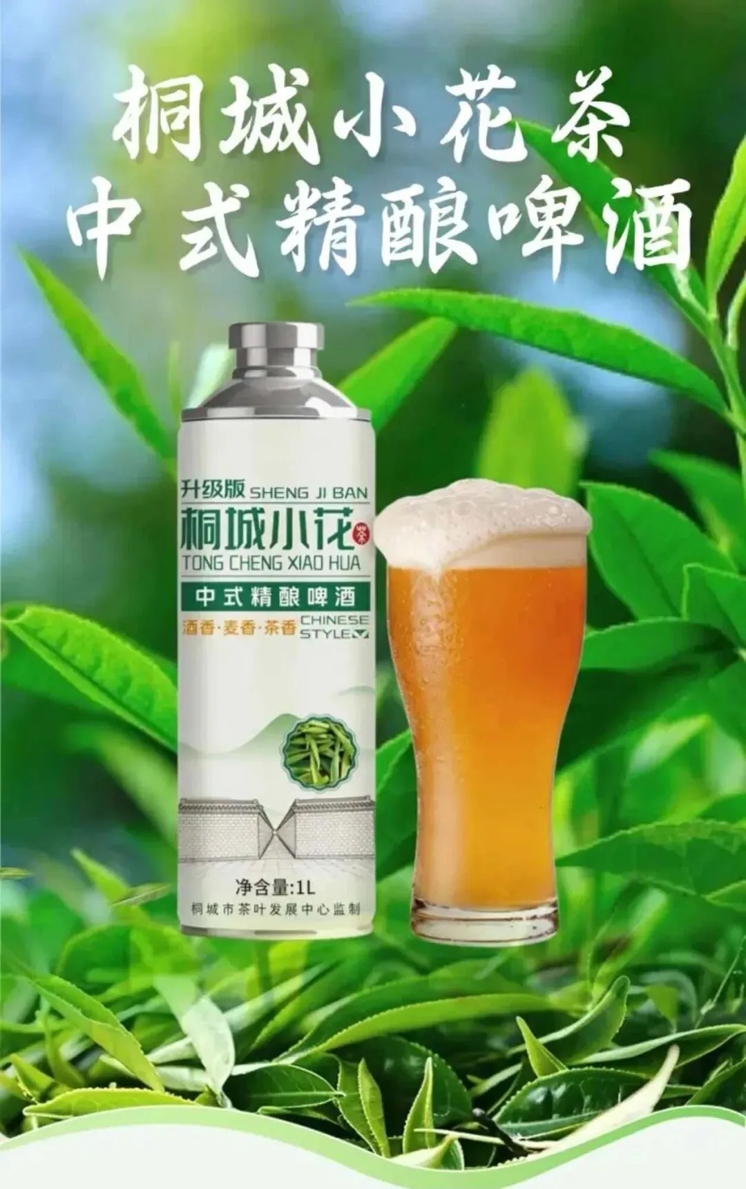 赠桐城中考学子!!-第14张图片-四季读书网