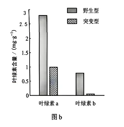 权威解读丨2026年云南高考生物真题答案超详细解析(收藏版本!)-第5张图片-四季读书网