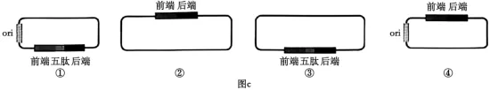 权威解读丨2026年云南高考生物真题答案超详细解析(收藏版本!)-第9张图片-四季读书网