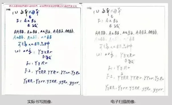 2026初三生必看|中考电脑阅卷“潜规则”,掌握少丢20分!(转给初三生)-第7张图片-四季读书网 2026初三生必看|中考电脑阅卷“潜规则”,掌握少丢20分!(转给初三生)-第7张图片-四季读书网