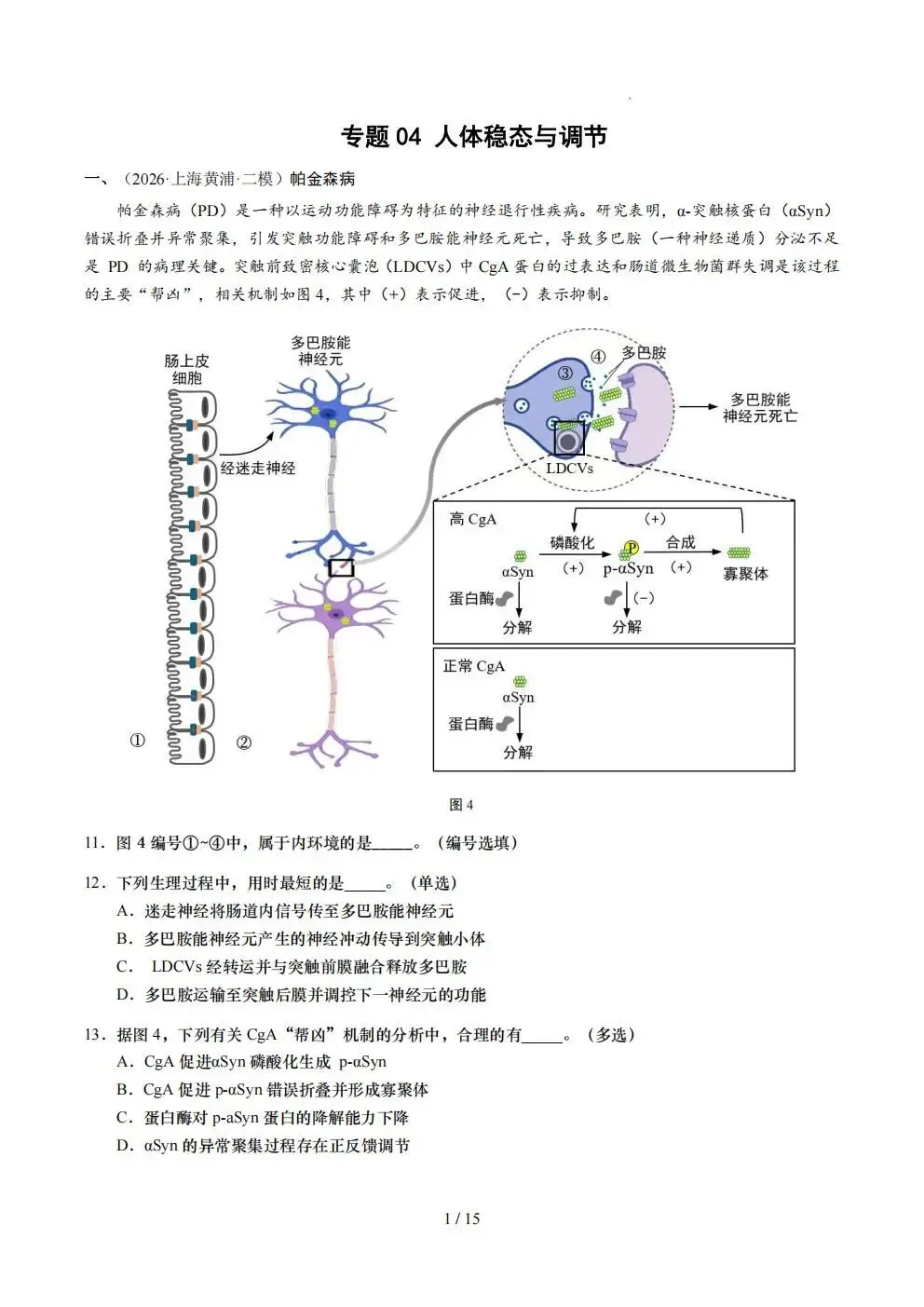 【生物】上海生物等级考2026年二模真题汇编六大专题(16区全)含答案-第3张图片-四季读书网