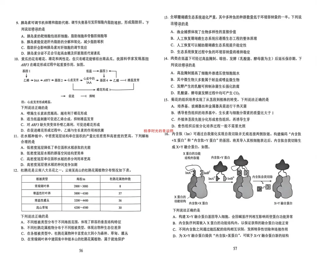 云南省2026年⾼考⽣物真题答案+详细解析-第2张图片-四季读书网 云南省2026年⾼考⽣物真题答案+详细解析-第2张图片-四季读书网