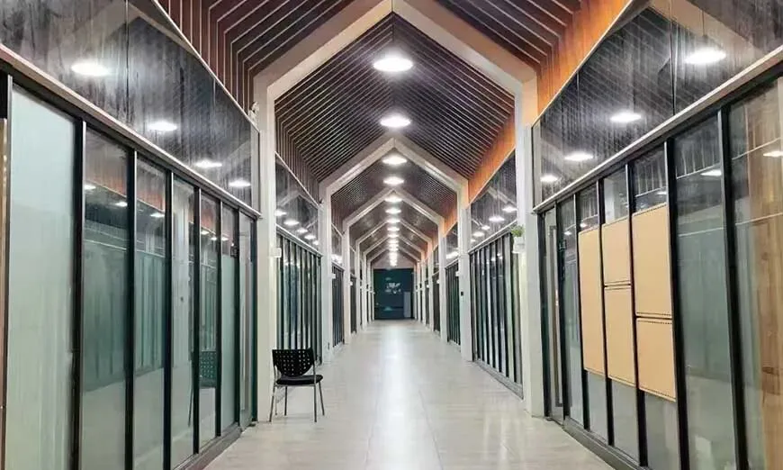 告别中考内卷!上海震职融高2026招生开启,零基础艺体/语言特色班等你来-第12张图片-四季读书网