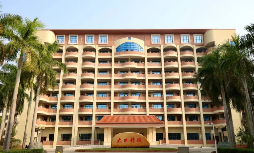 2026湛江市中职学校全汇总(中考志愿版)-第5张图片-四季读书网 2026湛江市中职学校全汇总(中考志愿版)-第5张图片-四季读书网