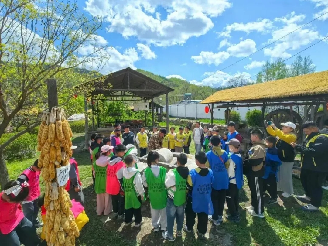 中考假期|6月28日新老营员都喜爱的撒欢儿营·乡野童趣|近百期活动经验+口碑爆棚 大自然从不说教,却教会孩子勇敢与好奇-第6张图片-四季读书网 中考假期|6月28日新老营员都喜爱的撒欢儿营·乡野童趣|近百期活动经验+口碑爆棚 大自然从不说教,却教会孩子勇敢与好奇-第6张图片-四季读书网