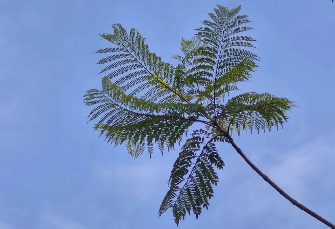 《氓》期末复习试卷-第2张图片-四季读书网