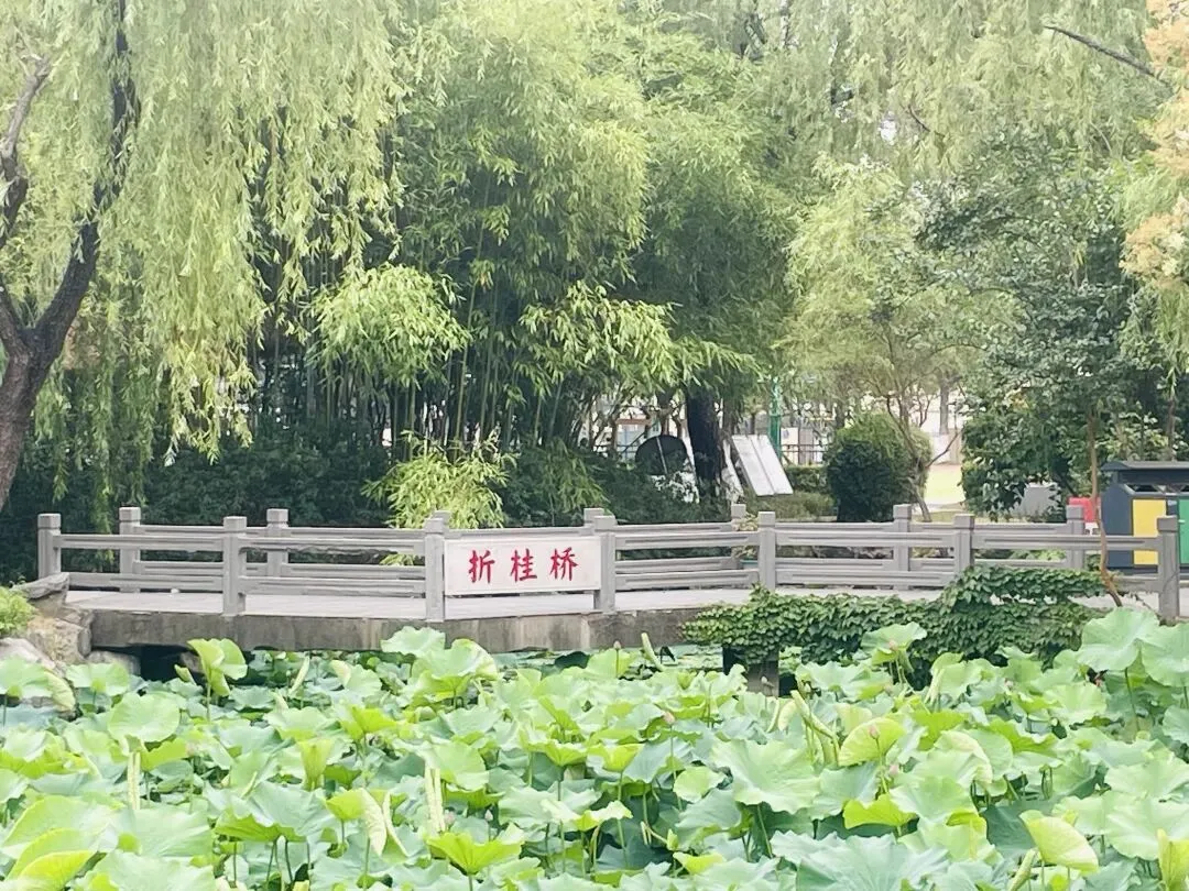【校园资讯】2026 年中考家长须知——暖心护航,助力孩子从容应考-第2张图片-四季读书网 【校园资讯】2026 年中考家长须知——暖心护航,助力孩子从容应考-第2张图片-四季读书网