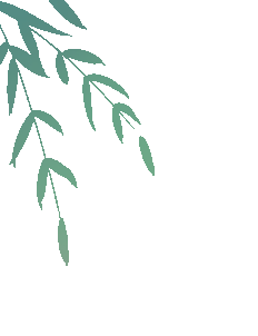 宜兴市徐舍中学初中部中考期间暨端午假期安排及温馨提示-第1张图片-四季读书网