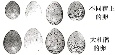 【资源建设】2026高考生物学真题(陕晋青宁卷)(Word+解析)-第6张图片-四季读书网