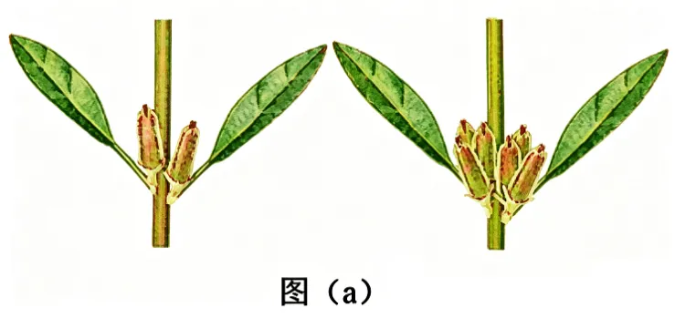 【资源建设】2026高考生物学真题(陕晋青宁卷)(Word+解析)-第9张图片-四季读书网