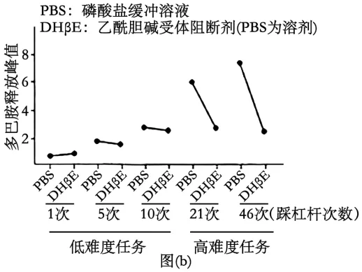 【资源建设】2026高考生物学真题(陕晋青宁卷)(Word+解析)-第12张图片-四季读书网