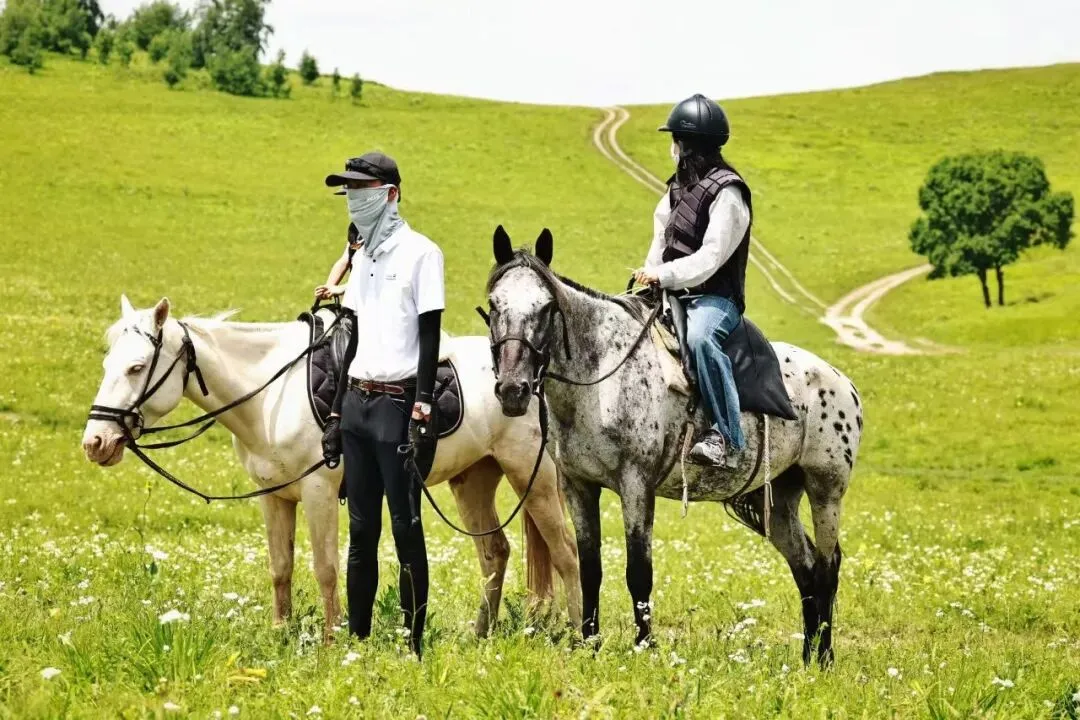 【乌兰布统·追风骑士 】中考6月19日PLUS班期,错峰出行,吃得好玩得好,开心又自在~-第5张图片-四季读书网