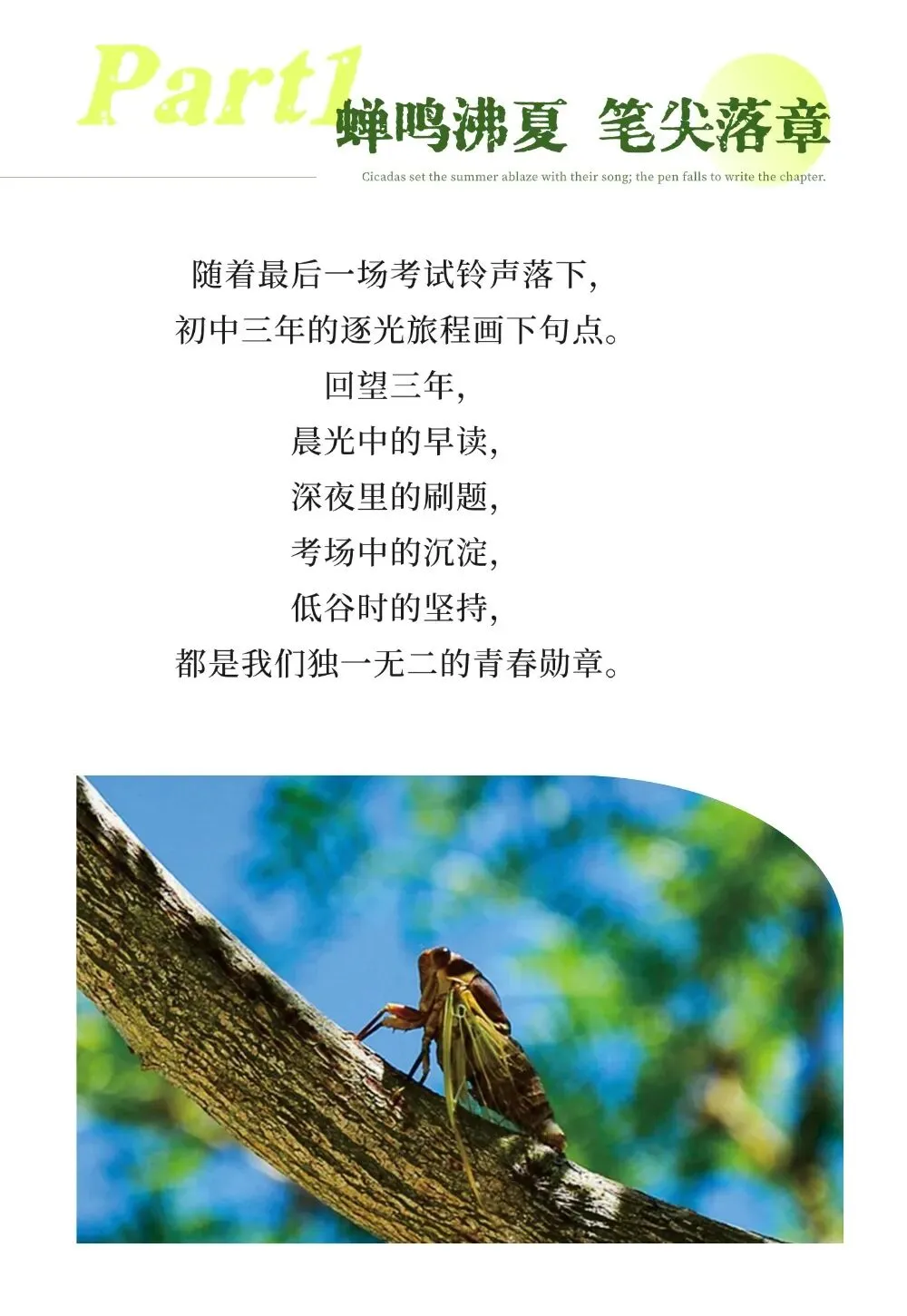 致中考学子|少年征途不止于此-第3张图片-四季读书网