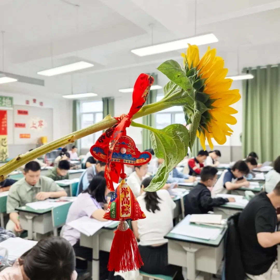 初2023级中考特辑丨师一之光 伴你同行-第57张图片-四季读书网