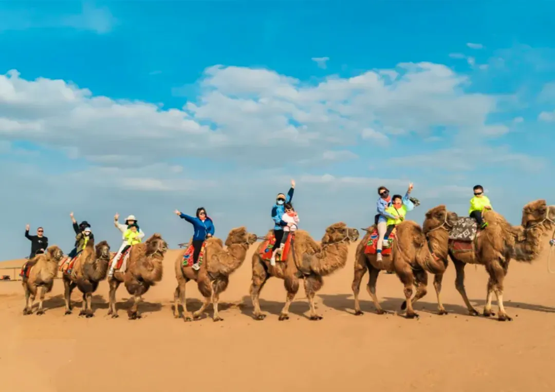 【乌兰布统·追风骑士 】中考6月19日PLUS班期,错峰出行,吃得好玩得好,开心又自在~-第39张图片-四季读书网