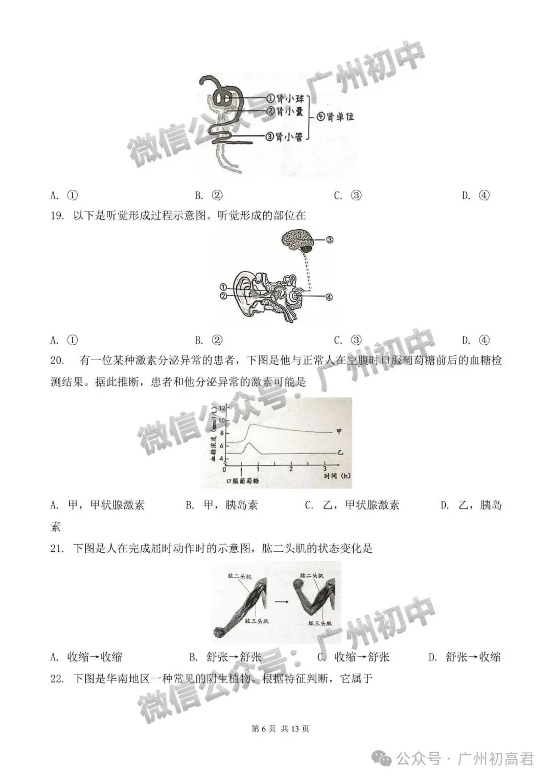 6月16-17日广州生地会考,知识点+真题资料包免费领!-第7张图片-四季读书网