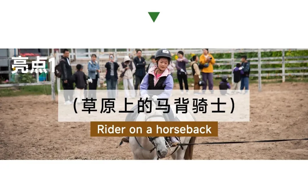 【乌兰布统·追风骑士 】中考6月19日PLUS班期,错峰出行,吃得好玩得好,开心又自在~-第52张图片-四季读书网