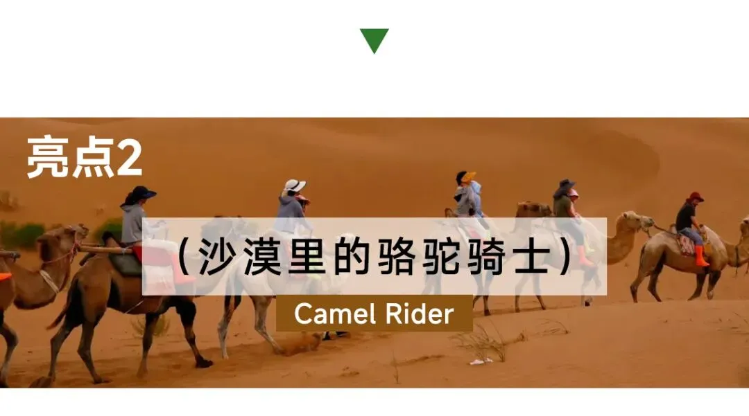 【乌兰布统·追风骑士 】中考6月19日PLUS班期,错峰出行,吃得好玩得好,开心又自在~-第59张图片-四季读书网