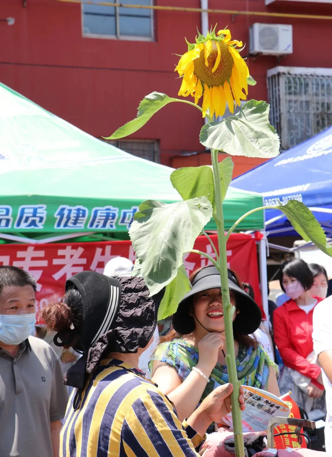 2026年中考进行时,奥林志愿者在全市区16个考点暖心服务、全程相伴!-第43张图片-四季读书网 2026年中考进行时,奥林志愿者在全市区16个考点暖心服务、全程相伴!-第43张图片-四季读书网