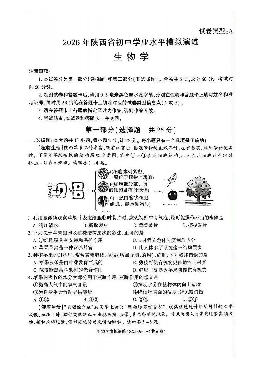 2026年陕西省初中学业水平考试模拟演练(含答案)-第2张图片-四季读书网
