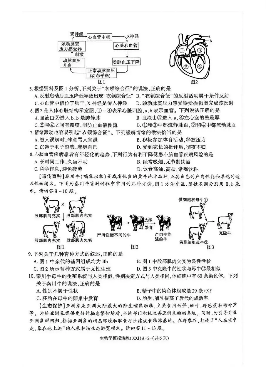 2026年陕西省初中学业水平考试模拟演练(含答案)-第3张图片-四季读书网