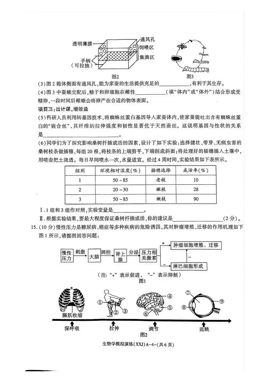 2026年陕西省初中学业水平考试模拟演练(含答案)-第5张图片-四季读书网