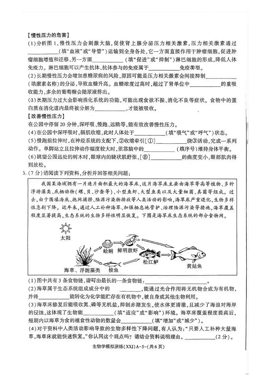 2026年陕西省初中学业水平考试模拟演练(含答案)-第6张图片-四季读书网
