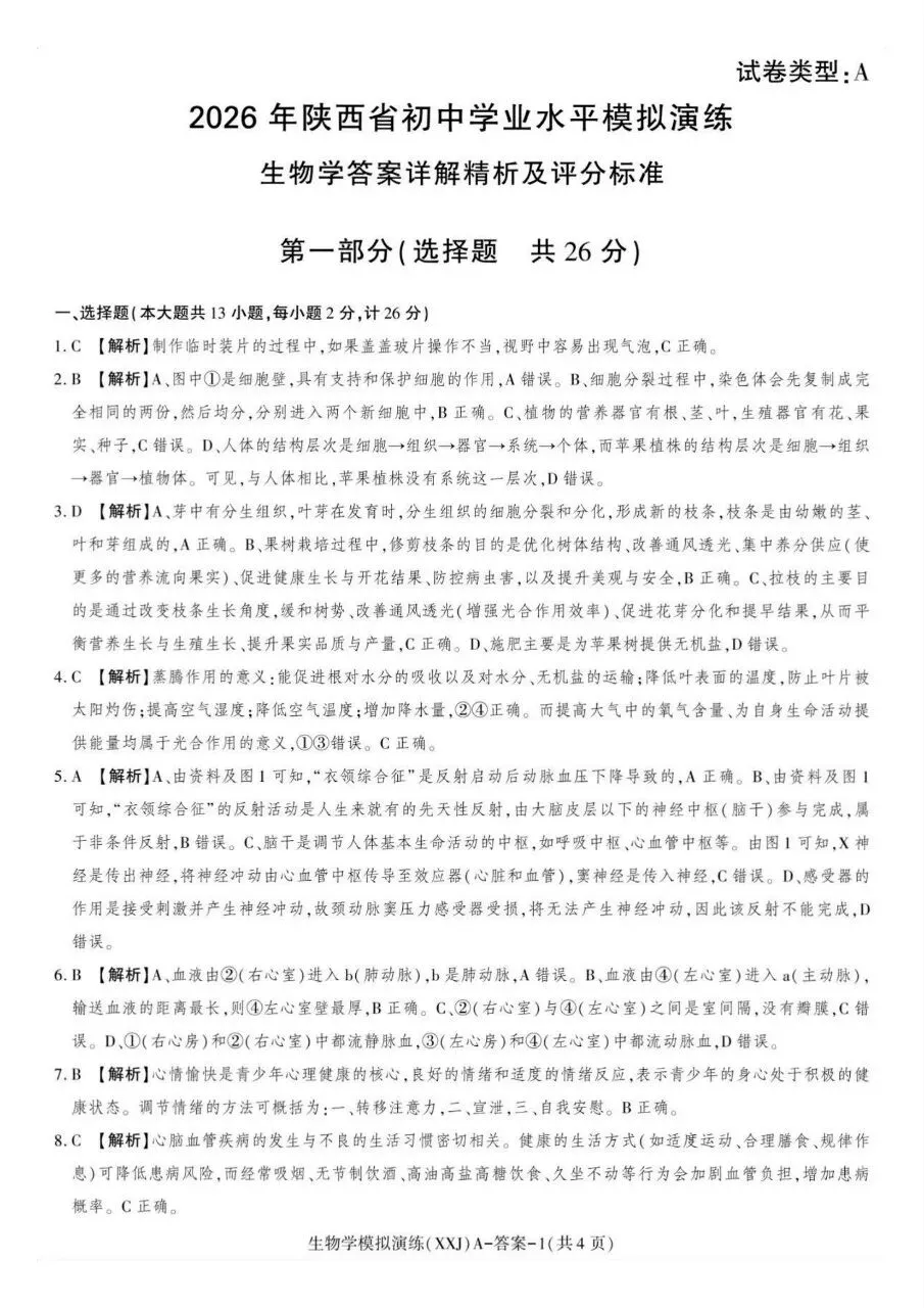 2026年陕西省初中学业水平考试模拟演练(含答案)-第8张图片-四季读书网