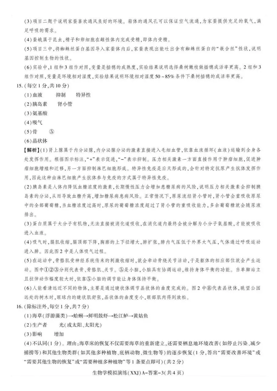 2026年陕西省初中学业水平考试模拟演练(含答案)-第10张图片-四季读书网