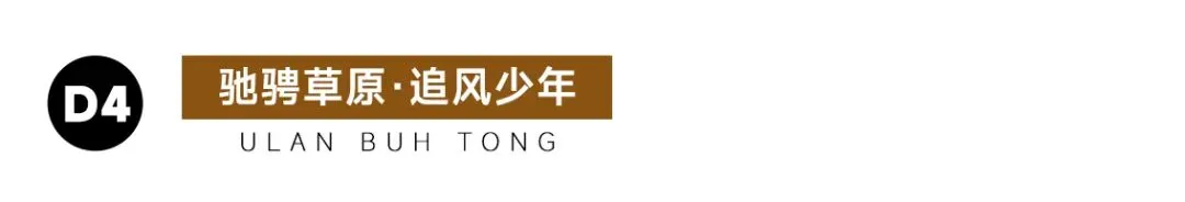 【乌兰布统·追风骑士 】中考6月19日PLUS班期,错峰出行,吃得好玩得好,开心又自在~-第124张图片-四季读书网